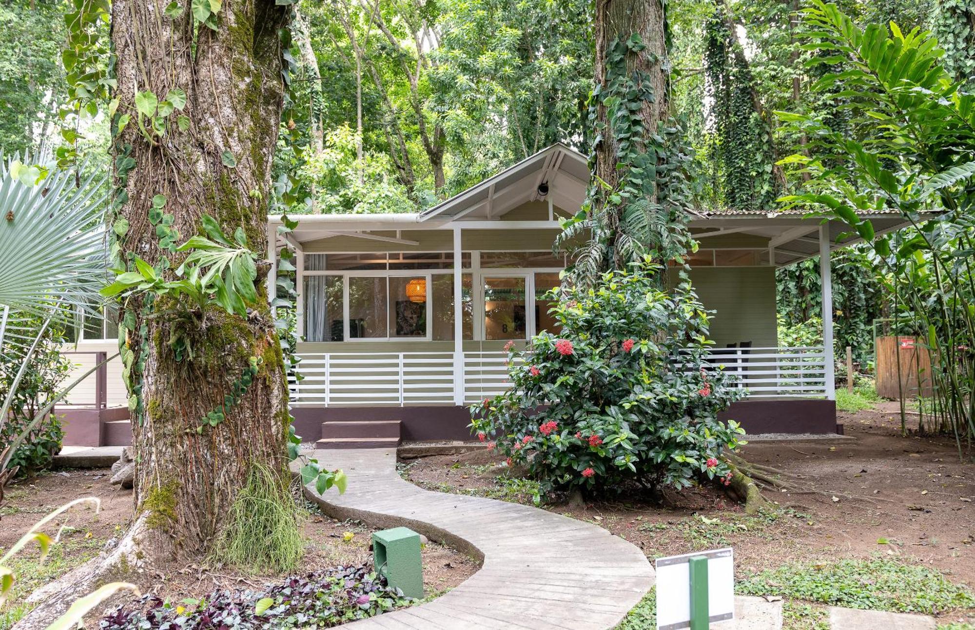 Jaguar Inn Bungalows Puerto Viejo de Talamanca Extérieur photo
