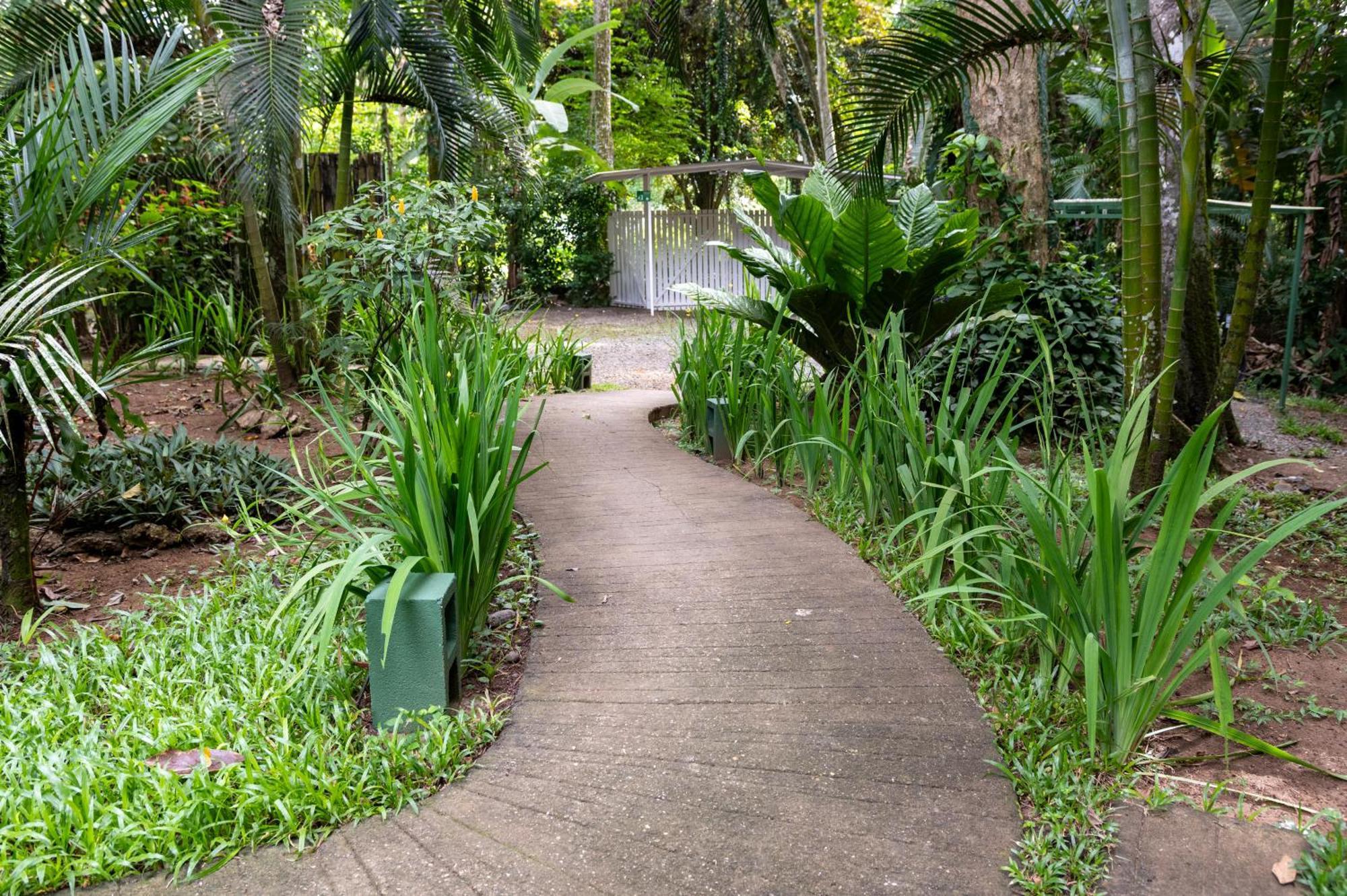 Jaguar Inn Bungalows Puerto Viejo de Talamanca Extérieur photo