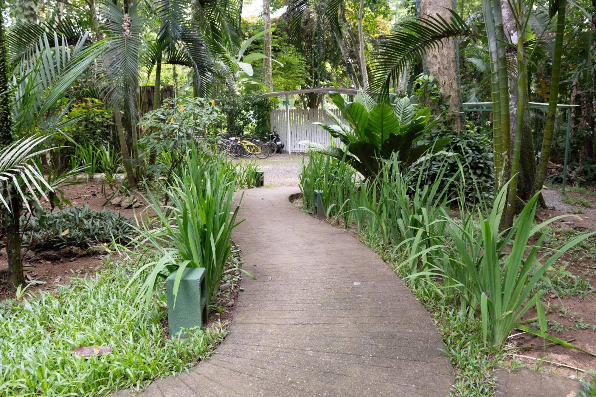 Jaguar Inn Bungalows Puerto Viejo de Talamanca Extérieur photo