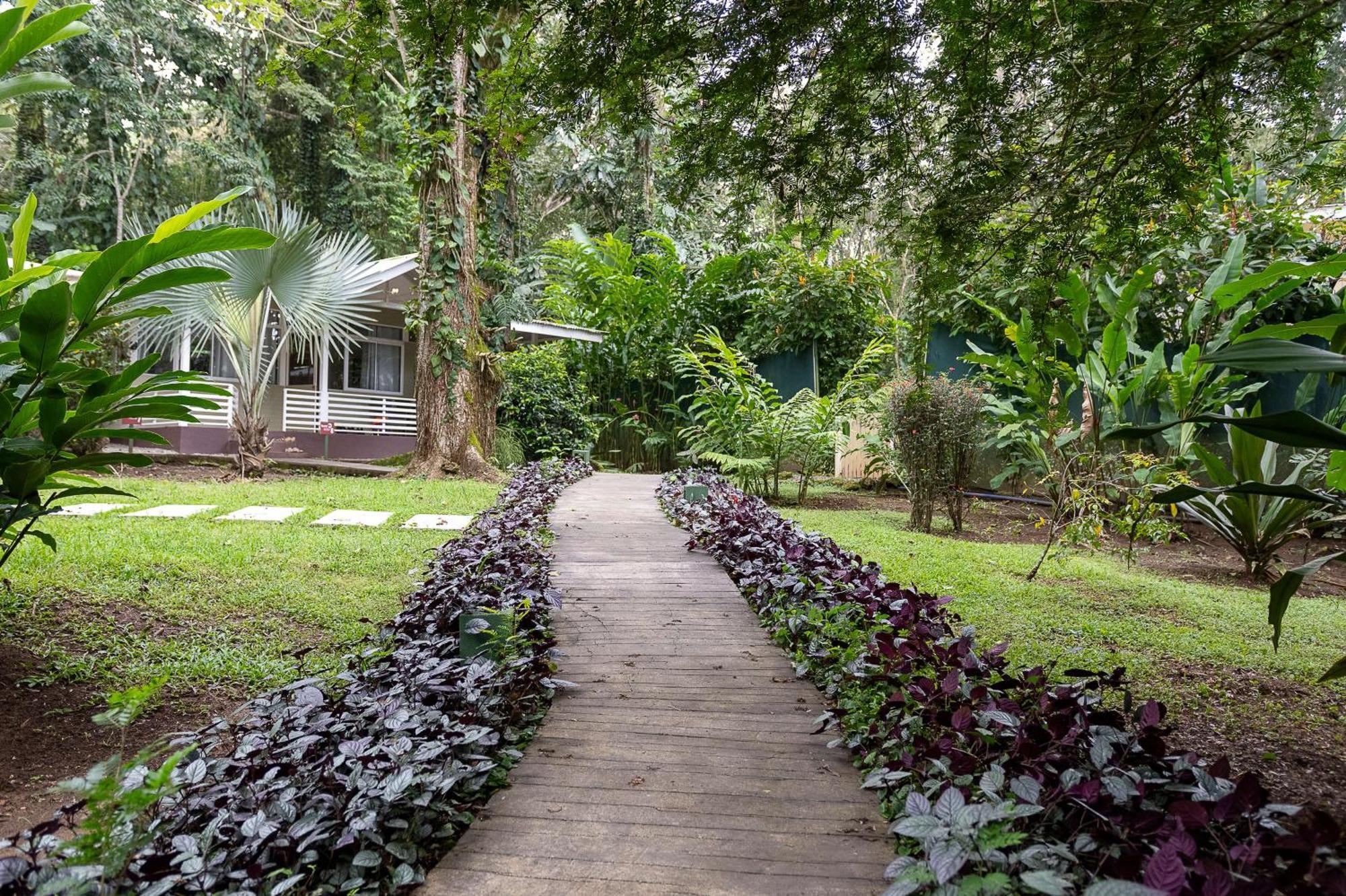Jaguar Inn Bungalows Puerto Viejo de Talamanca Extérieur photo