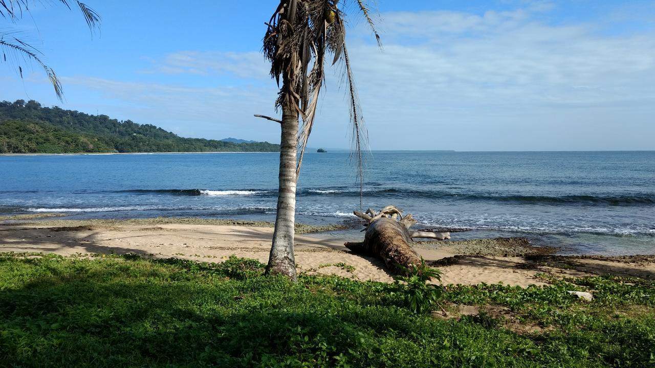 Jaguar Inn Bungalows Puerto Viejo de Talamanca Extérieur photo